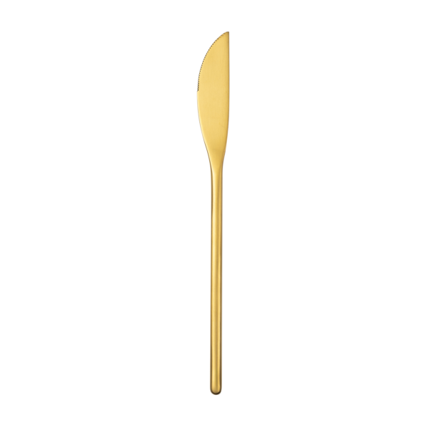 22cm Dinner Knife