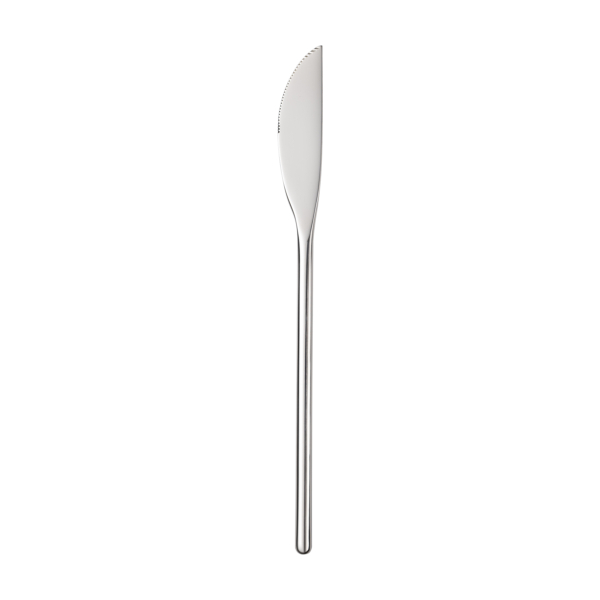 22cm Dinner Knife