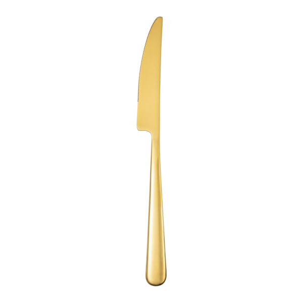 23cm Dinner Knife