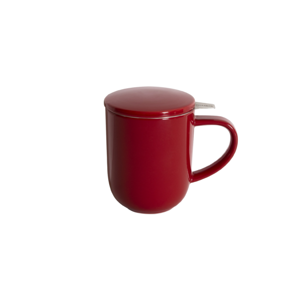 300ml Mug with Infuser & Lid