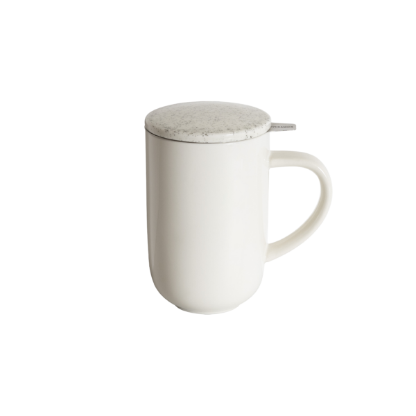 450ml Mug with Infuser & Lid