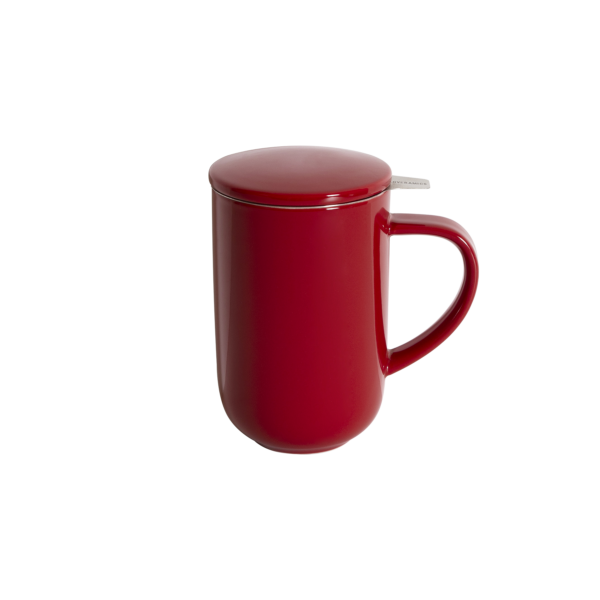 450ml Mug with Infuser & Lid
