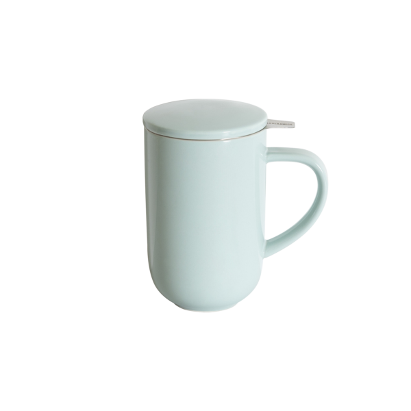 450ml Mug with Infuser & Lid