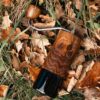 C40 Nitro Blade Vintage Oak Royal