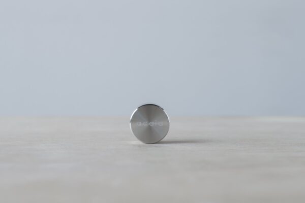 Calibration Weight 100 g