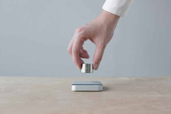 Calibration Weight 100 g
