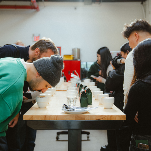 Coffee Cupping