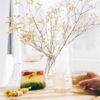 HARIO CLEAR Teapot (450ml/15oz)