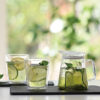 HARIO CLEAR Teapot (450ml/15oz)