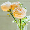 hario-conical-beaker-300ml-10oz-6447c3-hario_cb-300-conical-beaker_300ml_roses HARIO Conical Beaker (300ml/10oz)