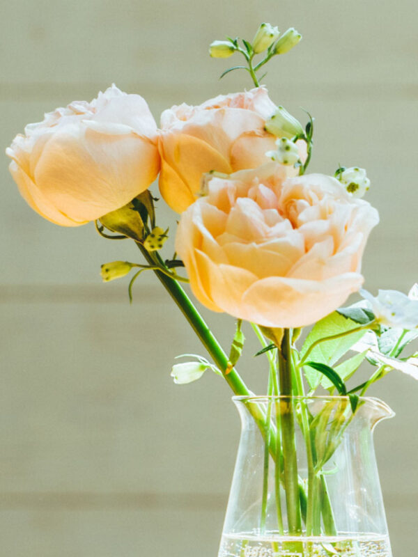 hario-conical-beaker-300ml-10oz-6447c3-hario_cb-300-conical-beaker_300ml_roses HARIO Conical Beaker (300ml/10oz)