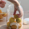 HARIO Glass Storage Jar (2000ml/68oz)