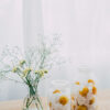 HARIO Glass Storage Jar (2000ml/68oz)