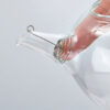 HARIO Kyusu Glass Tea Pot