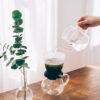 HARIO Largo 35 Tea Brewer (350ml/12oz)