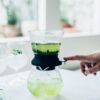 HARIO Largo 35 Tea Brewer (350ml/12oz)
