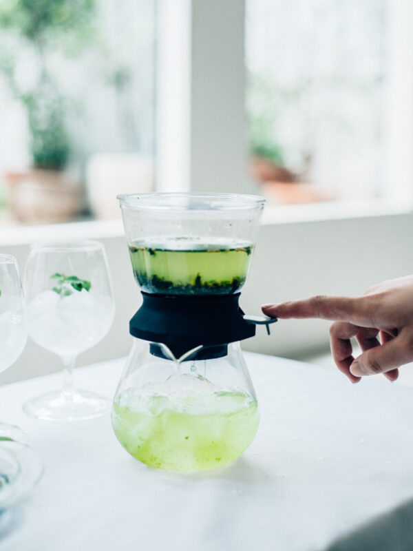 HARIO Largo 35 Tea Brewer (350ml/12oz)