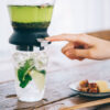 HARIO Largo 35 Tea Brewer (350ml/12oz)