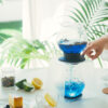 HARIO Largo Tea Brewer (800ml/27oz)