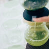 HARIO Largo Tea Brewer (800ml/27oz)