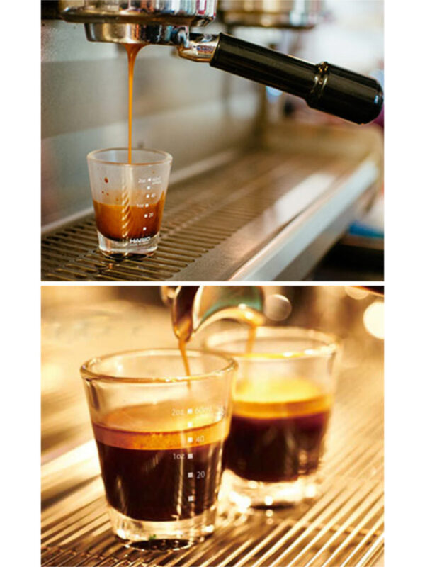 HARIO Shot Glass (80ml/3oz)
