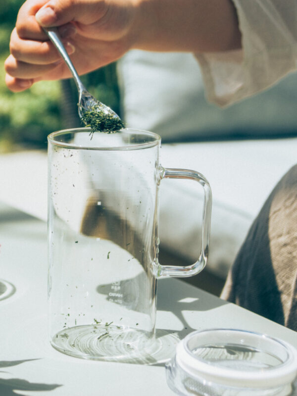 HARIO SIMPLY Glass Tea Maker