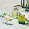 HARIO SIMPLY Glass Tea Maker