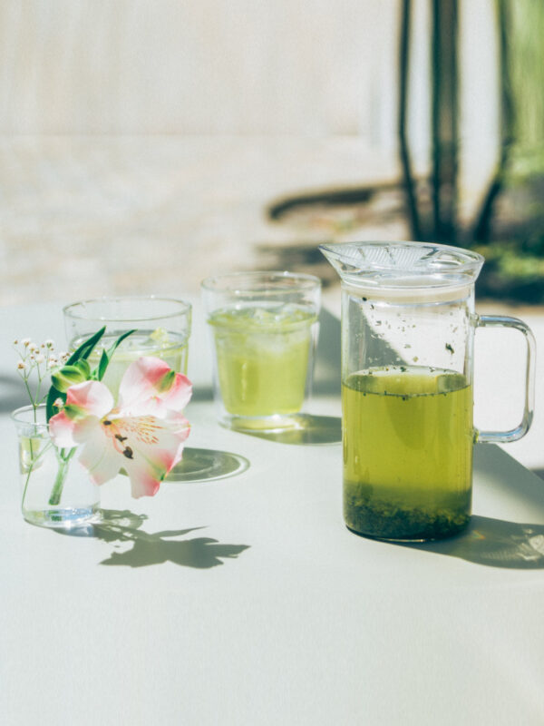 HARIO SIMPLY Glass Tea Maker