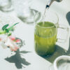 HARIO SIMPLY Glass Tea Maker