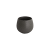 Nutty Tasting Cup