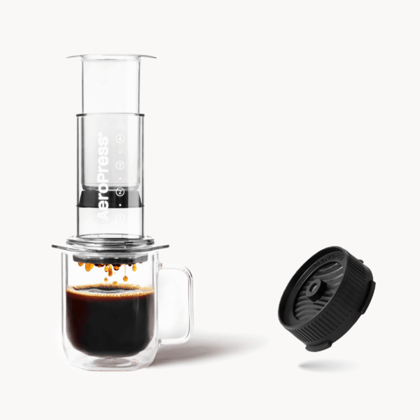 Recipe Bundle - Clear